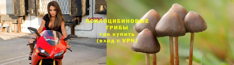 купить  сайты  ОМГ ОМГ ТОР  Псилоцибиновые грибы Magic Shrooms  Советский 