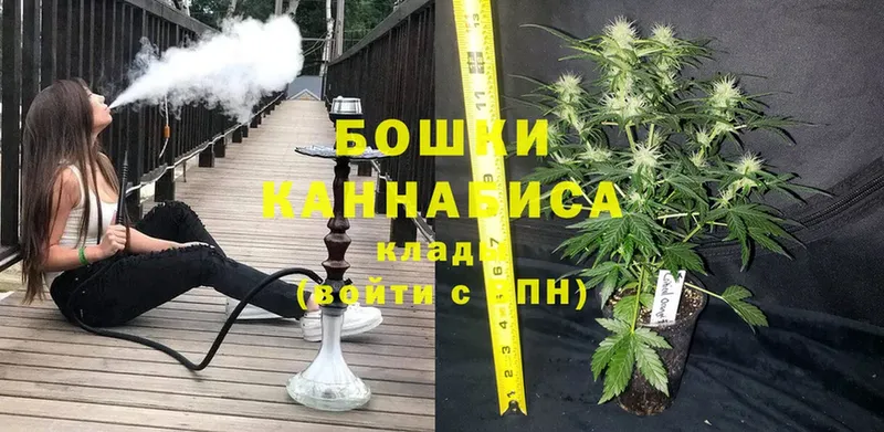 Шишки марихуана THC 21%  Советский 